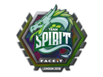 Team Spirit (Holo) | Antwerp 2022 image